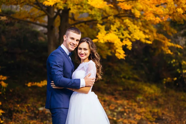 可爱的新婚夫妇在公园里拥抱和微笑 穿着蕾丝裙的新娘和新郎的画像 — 图库照片