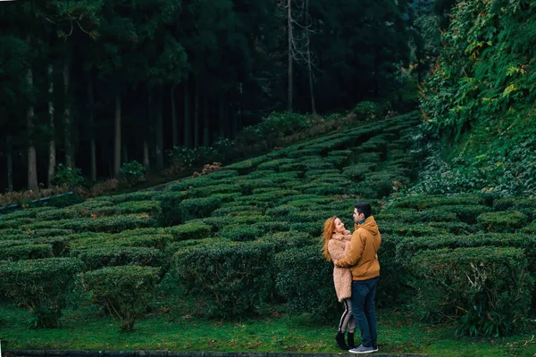 暖かい服を着たカップルが茂みの近くの公園で抱き合う お互いを見つ合う — ストック写真
