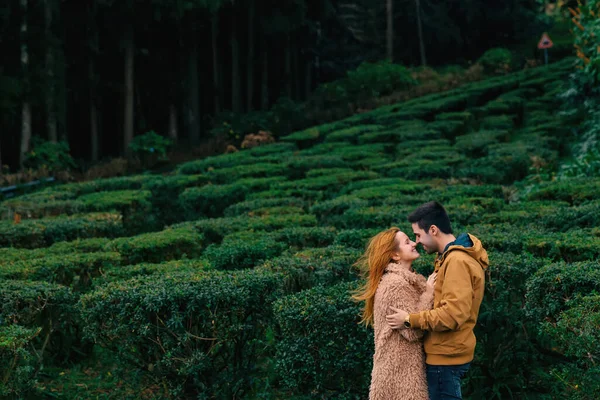 Das Verliebte Paar Sich Küssen Und Die Augen Schließen Park — Stockfoto