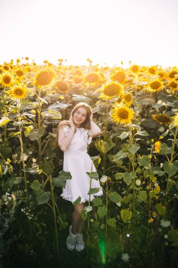 Güzel bir kız sarı bir ayçiçeği tarlasında yürüyor. Neşeli duygularını gösteren elbiseli genç bir kadın..