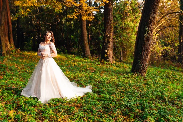 Güz Parkında Şık Bir Elbise Içinde Güzel Bir Gelin — Stok fotoğraf