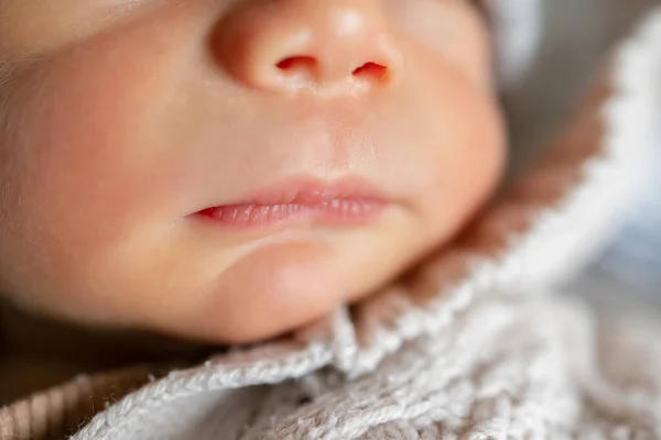Porträt Des Neugeborenen Babys Nase Und Lippen Schließen Sich Gesundheitskonzept — Stockfoto