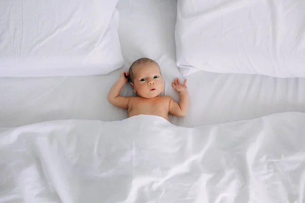 Ein Überraschtes Neugeborenes Liegt Auf Dem Bett Und Blickt Neugierig — Stockfoto