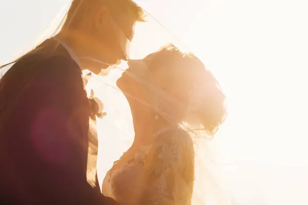 Profile Newlyweds Covered Wedding Veil Bride Groom Leaned Noses Sunlight — Stock Photo, Image