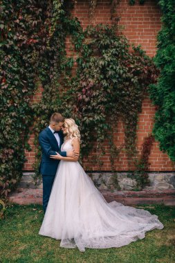 Parktaki güzel evlilik çifti. Duvarın arkasında birbirinize sarılın.