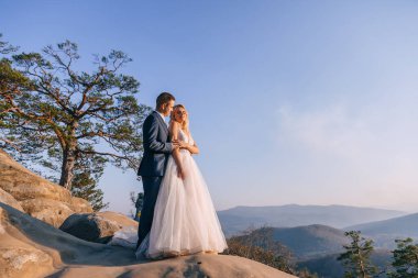Güzel yeni evliler, dağların arka planında sarılırlar. Şık gelin ve damat kayanın üstünde duruyor..