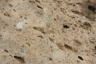 taş dokusunun arkaplanı