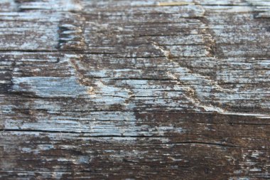 Eski çatlak boya. Arkaplan.