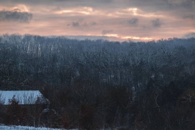 Kar ve ağaçlarla kaplı kış manzarası