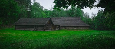 Ormandaki eski ahşap ev