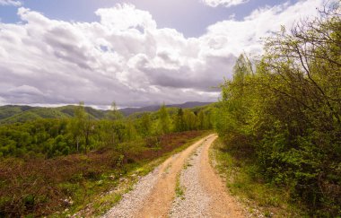 Doğu Avrupa 'nın ücra kırsal kesimlerinde köy yolu ve güzel bulutlar