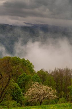 Baharda Karpat Dağlarında sis ve fırtına bulutları