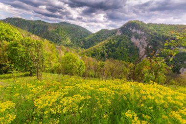 Baharda Karpat Dağlarında sis ve fırtına bulutları