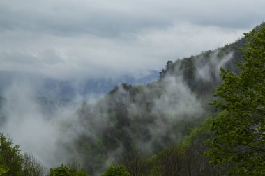 Baharda Karpat Dağlarında sis ve fırtına bulutları