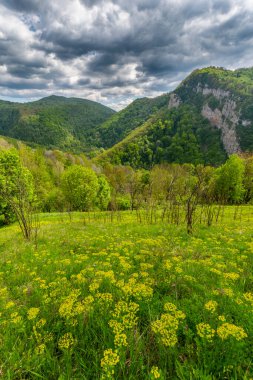 Baharda Karpat Dağlarında sis ve fırtına bulutları