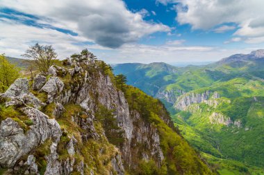 Karpatlar 'ın baharda dağlarında bulutlar ve yemyeşil bitki örtüsüyle dramatik bir manzara.
