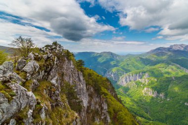 Karpatlar 'ın baharda dağlarında bulutlar ve yemyeşil bitki örtüsüyle dramatik bir manzara.