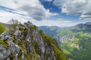 Karpatlar 'ın baharda dağlarında bulutlar ve yemyeşil bitki örtüsüyle dramatik bir manzara.