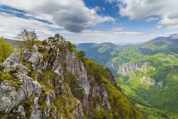 Karpatlar 'ın baharda dağlarında bulutlar ve yemyeşil bitki örtüsüyle dramatik bir manzara.