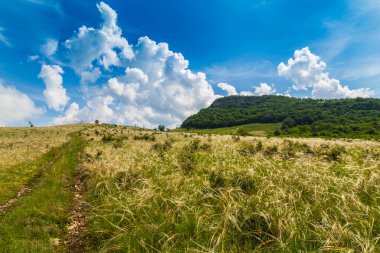 Yazın, Avrupa 'nın ücra bir köşesinde, dalgalı çim tarlaları.