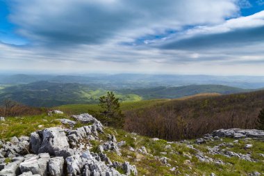 Karpatlar 'ın baharda dağlarında bulutlar ve yemyeşil bitki örtüsüyle dramatik bir manzara.
