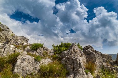 Avrupa 'nın ücra bir bölgesinde, yazın dalgalı çim tarlaları olan güzel dağ manzarası.