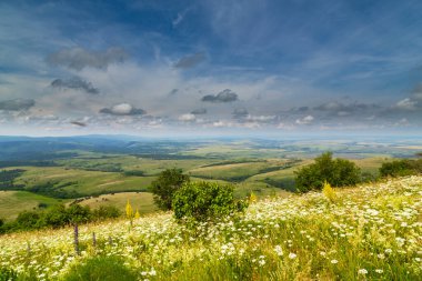 Avrupa 'nın ücra bir bölgesinde, yazın dalgalı çim tarlaları olan güzel dağ manzarası.