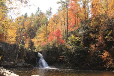 Tennessee 'deki Büyük Dağlar Ulusal Parkı.