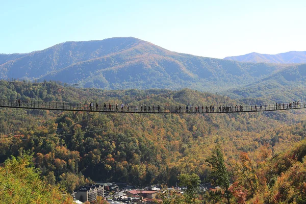 Skybridge Gatlinburg Grote Smoky Mountains Tennessee Stockfoto