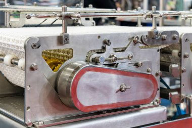 Ürün veya gıda transferi veya endüstriyel üretim sürecinin herhangi bir uygulaması için plastik modüler bant taşıyıcısı vs..