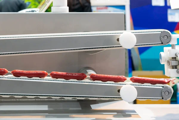 sausage chain during produced by past on conveyor system of automatic machine for manufacturing process in food industry