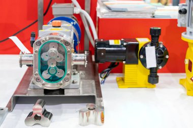 Model paslanmaz yüksek basınç vakum içinde pozitif lob dişli pompa akış hızı kontrolü için ayrıntılı rotor gösterir ve katı sıvı yağ çözeltisi işleyebilir