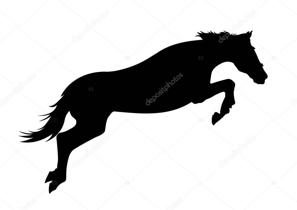 Graphics design silhouette horse high jump isolated white background vector illustration