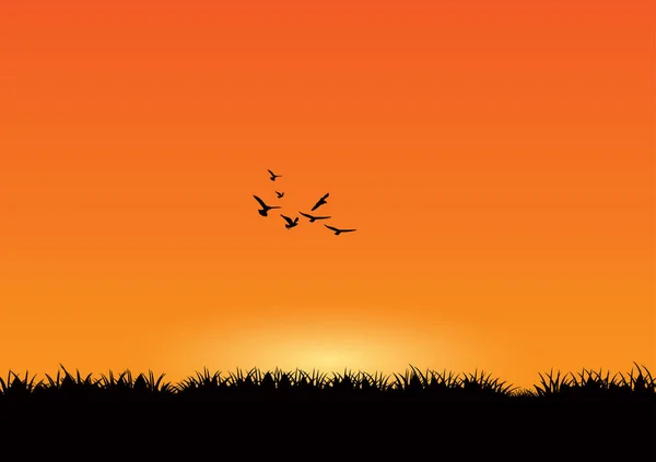 日没の背景に草や鳥のシルエット ベクターイラスト — ストックベクタ