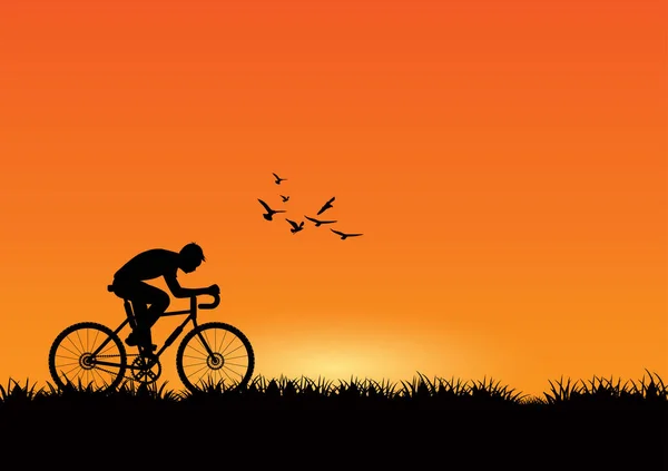 Silhouette Eines Radfahrers Bei Sonnenuntergang Mit Fliegenden Vögeln Vektorillustration — Stockvektor