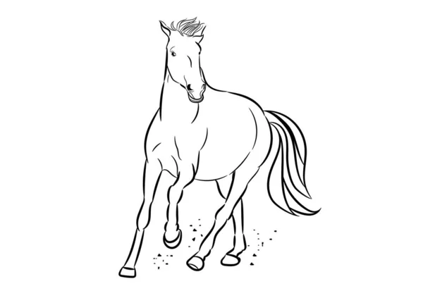 Grafik Bild Zeichnung Pferd Laufen Umriss Strich Linie Vektor Illustration — Stockvektor