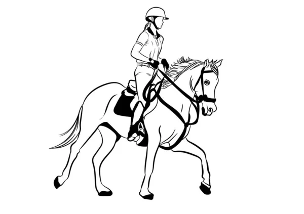 Gráficos Dibujo Imagen Jockey Montar Contorno Caballo Trazo Línea Vector — Vector de stock
