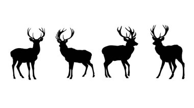 Vahşi yaşam temalı geyik silueti vektör çizimi