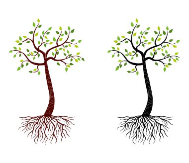 Vector tree with roots and green leaves