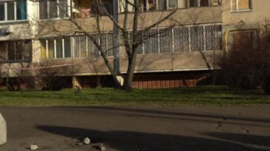 Ukrayna 'nın merkezine roket saldırısı sonucu. İnsansız hava aracı patlaması bacası. Kyiv 'e İranlı Şahin' in 136 İHA 'sı saldırdı. Hasarlı konut binası. Kırık pencereler ve enkazdan kaynaklanan delikler.