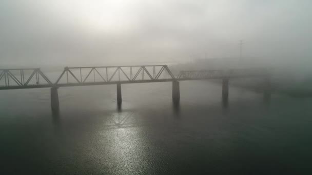 Petrovsky Railway Bridge Dnieper River Ukraine Kyiv City Drone Video — Stock video