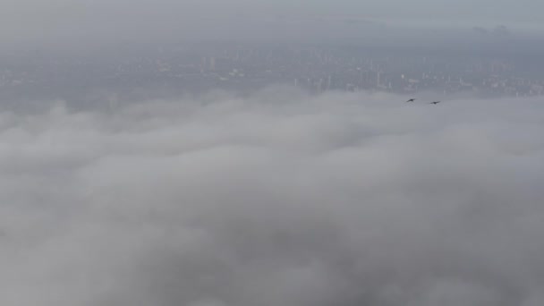 Pair Birds Fly City Clouds Fog Kyiv Ukraine — Stockvideo