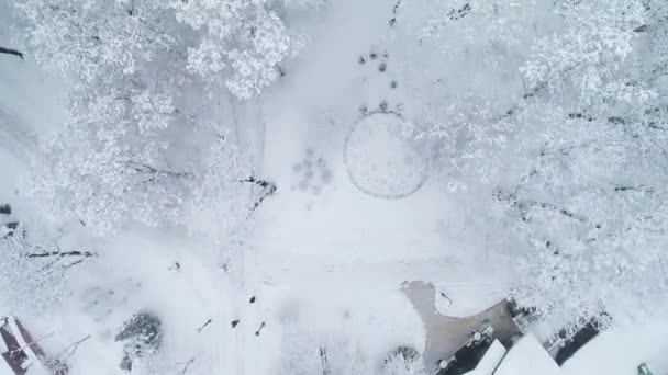 Luchtfoto Van Kiev Taras Shevchenko National University Winter Tegen Achtergrond — Stockvideo