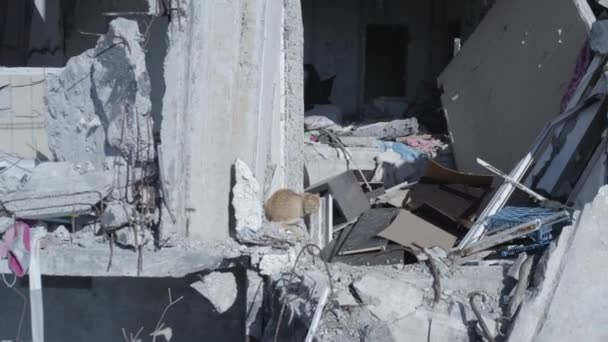 房屋被毁 被炮击和俄军的袭击所损坏 乌克兰战争造成的破坏 倒塌的建筑 Bakhmut 空中业务 — 图库视频影像