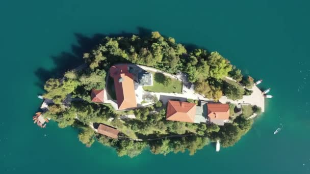 湖の中心にあるマリアの仮定教会 スロベニア エアリアル サマー ドローン ビデオ ブレッド湖の小さな島を飛び回りました 青い水と森の周りに — ストック動画