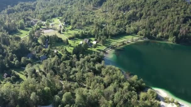 バックグラウンドにヨーロッパアルプスとボヘニー湖 スロベニア エアリアル サマー カヤックで泳ぐ観光客 — ストック動画