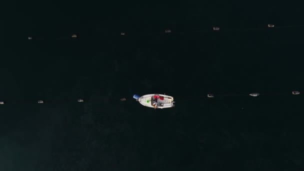 ペルセサック半島に位置するマリ ストンの湾の航空無人機の眺め ターコイズ海水のオイスター農場 生命の島 小さな漁村でした サマー サマー — ストック動画