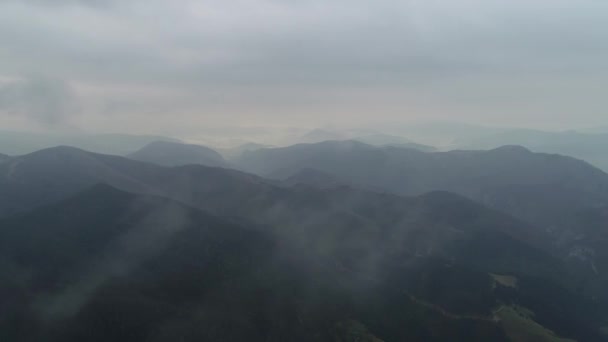 ドリーナ川とタラ山脈の風景のドローン空中映像 セルビア サマー フォグ フォグ — ストック動画