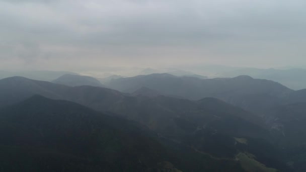 Zdjęcia Lotu Drona Rzeki Driny Górskiego Krajobrazu Tary Serbii Latem — Wideo stockowe