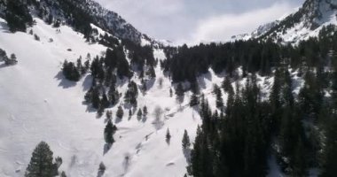 Karpat Dağları. Havadan. Ukrayna. Kış. Kar yağıyor. Güneşli bir gün. 